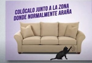 gato arañando el sofa