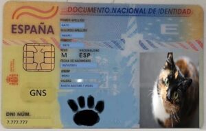 DNI GAtos Barcelona