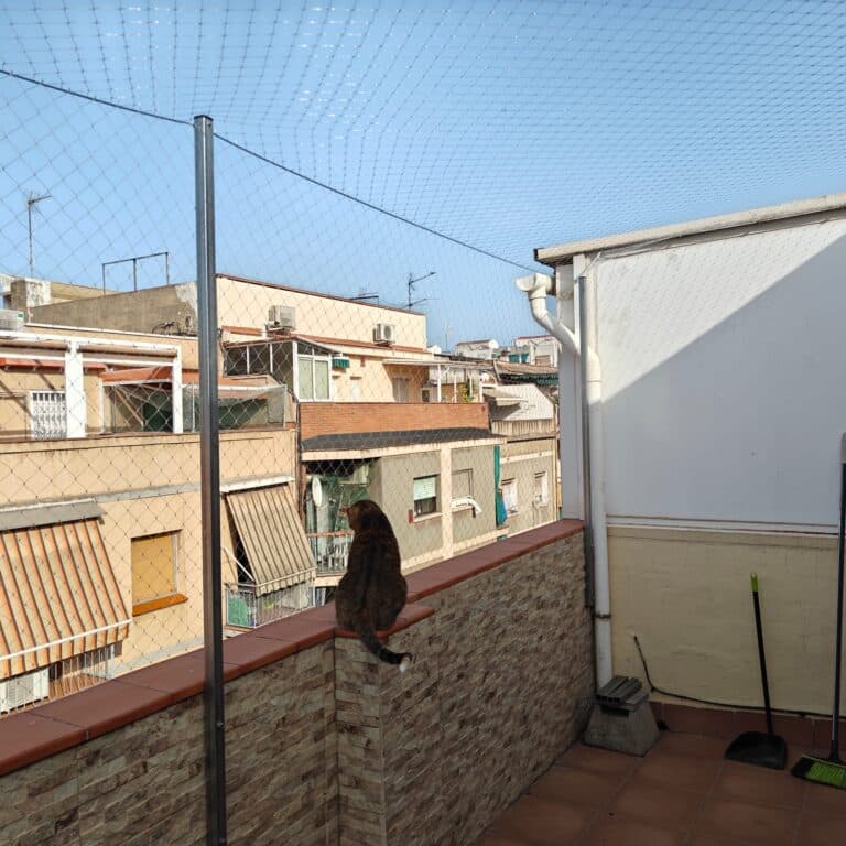 Gato protegido por Red de seguridad